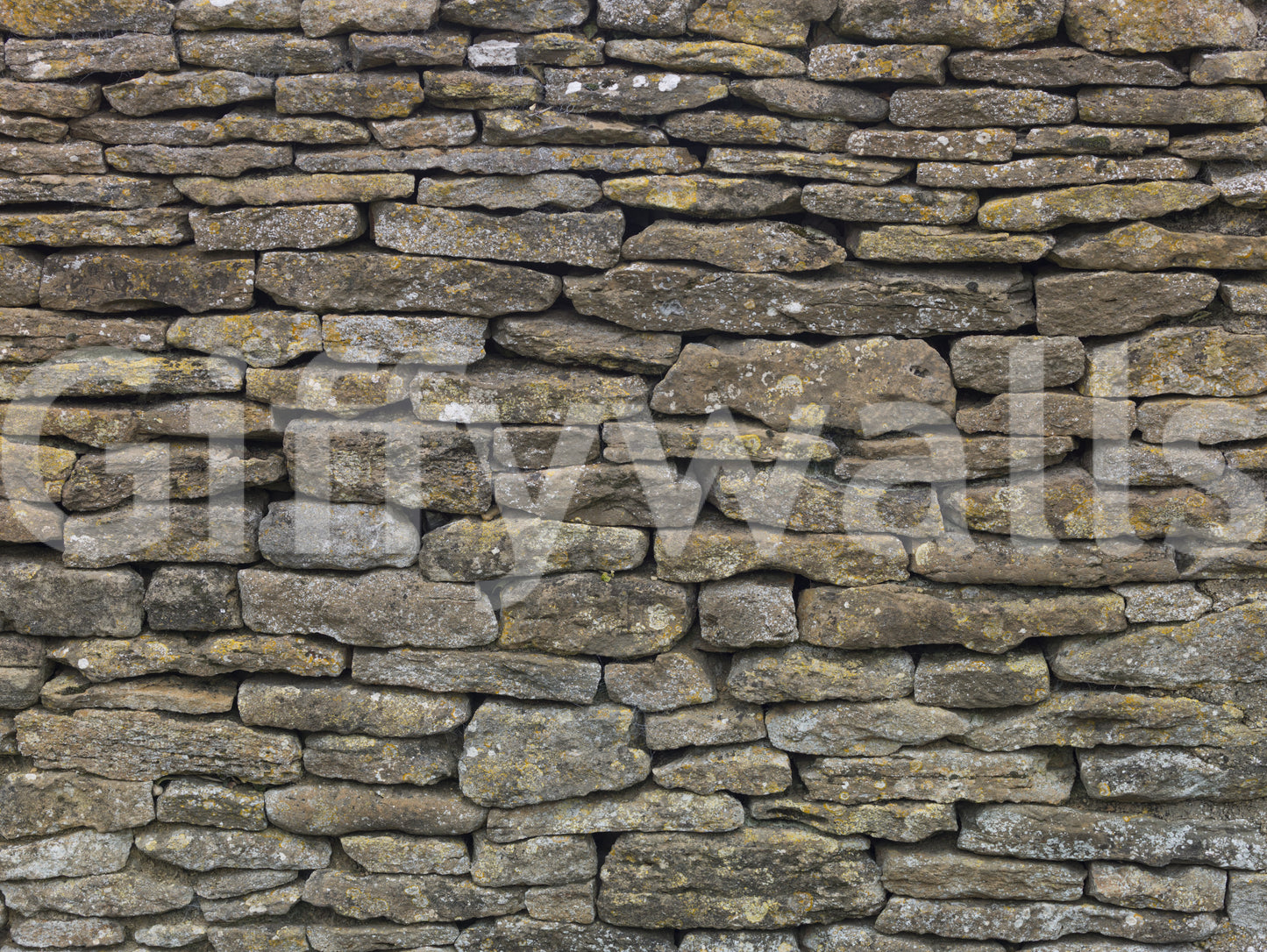 Grounded and timeless aesthetic.