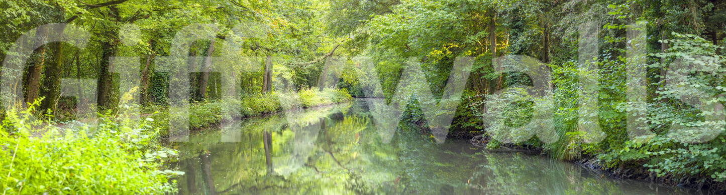 Focus on water color and clarity.