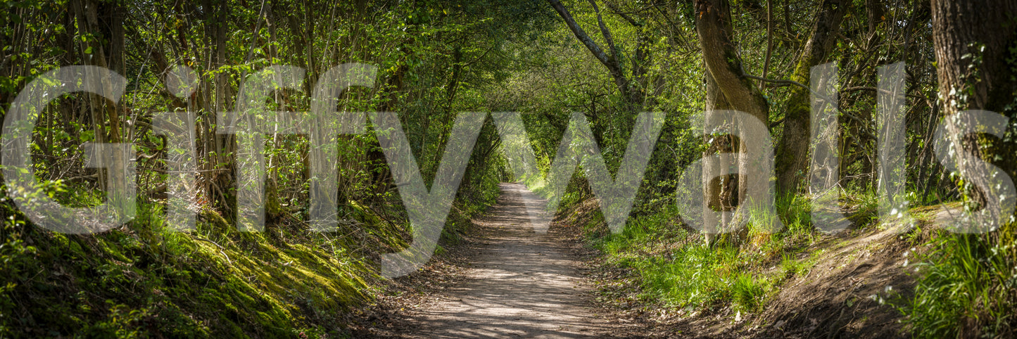 Inspired by famous poem.