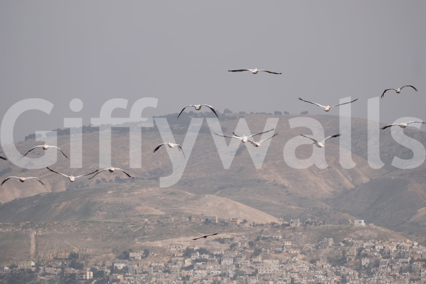 Suitable for a living room, study, or a contemplative, traditional interior.