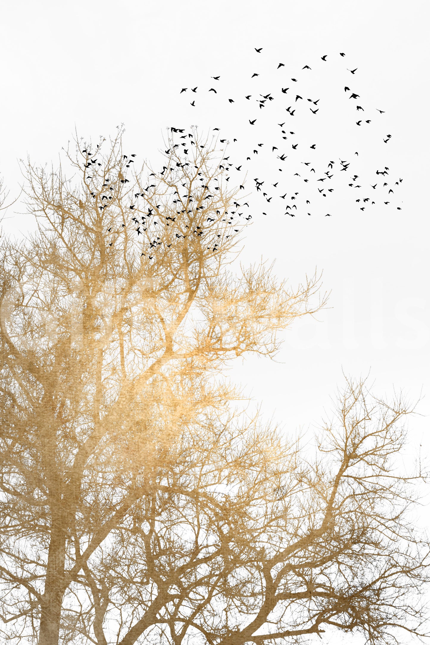 The texture appears smooth and artistic, like a painting or detailed illustration.