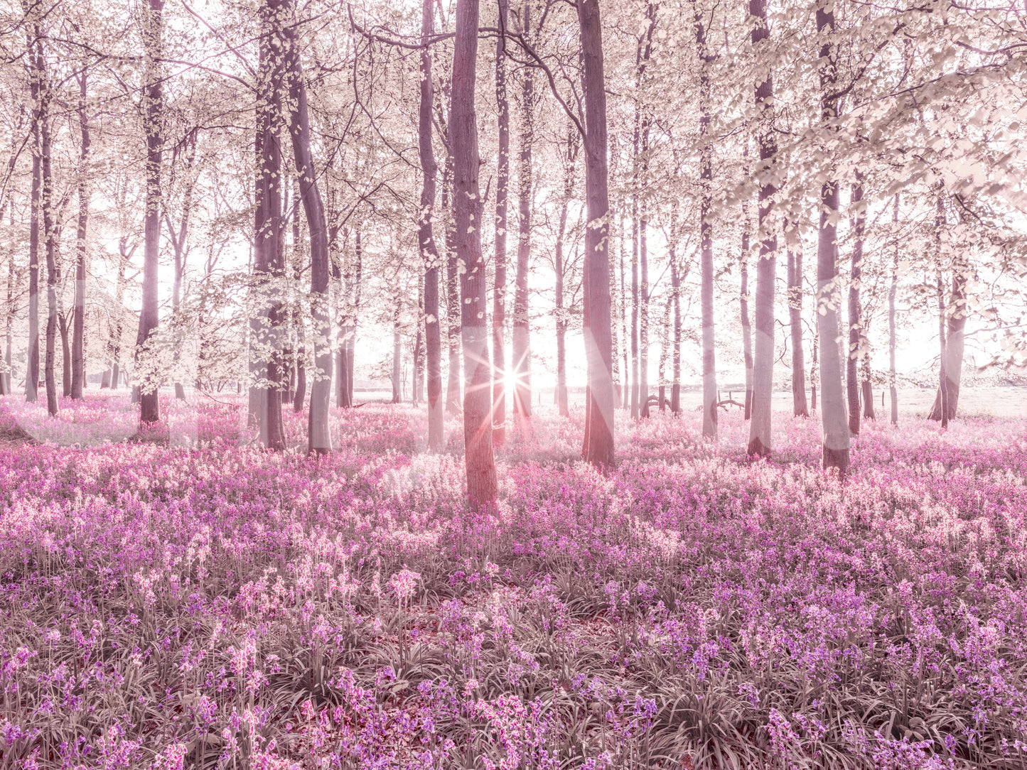 The image captures the unique, peaceful feel of the design.