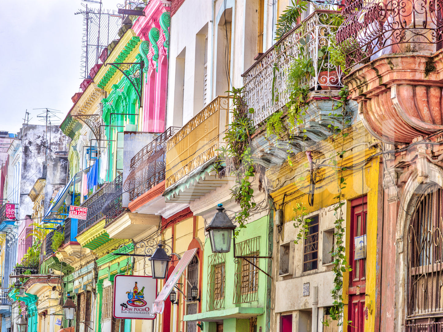 The colors are the central focus of the image.