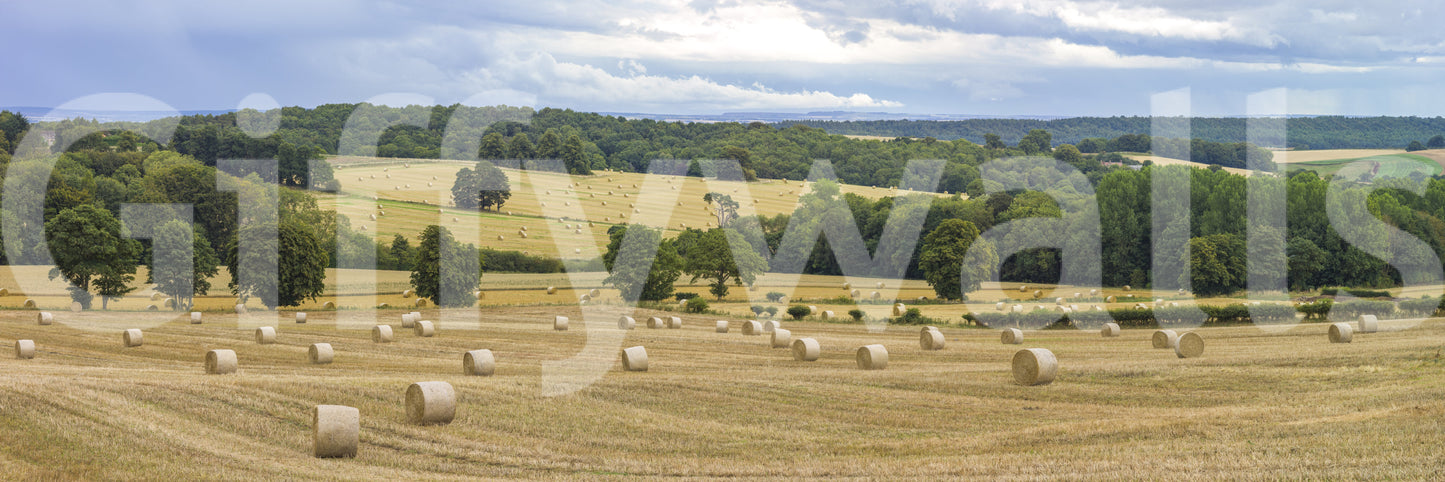 The image is a high-quality photograph or painting.