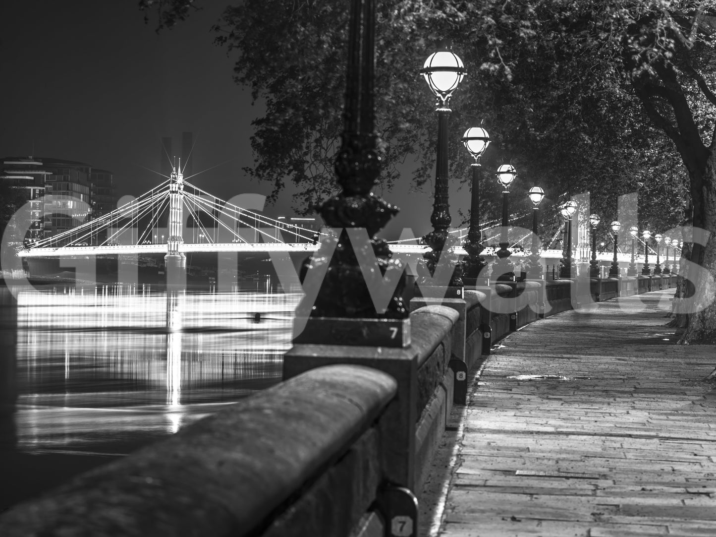 The image feels bold and sophisticated.