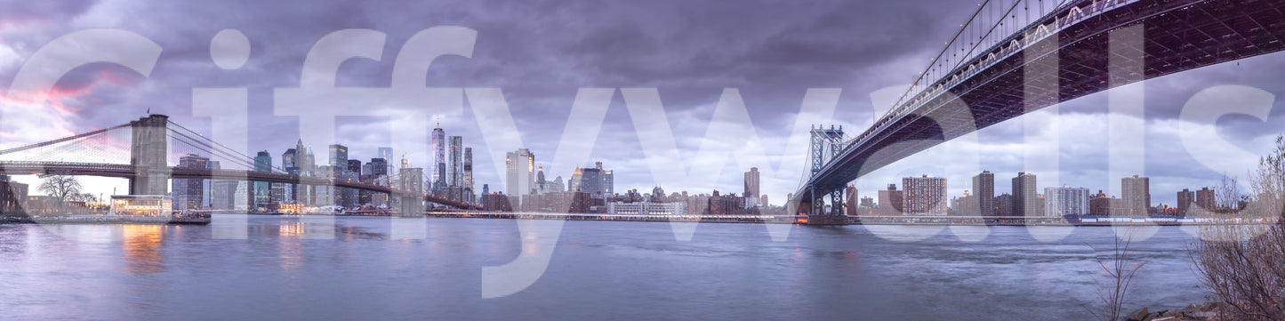 The image feels bold and contemporary.