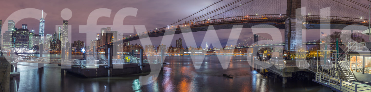 The image feels bold and contemporary.