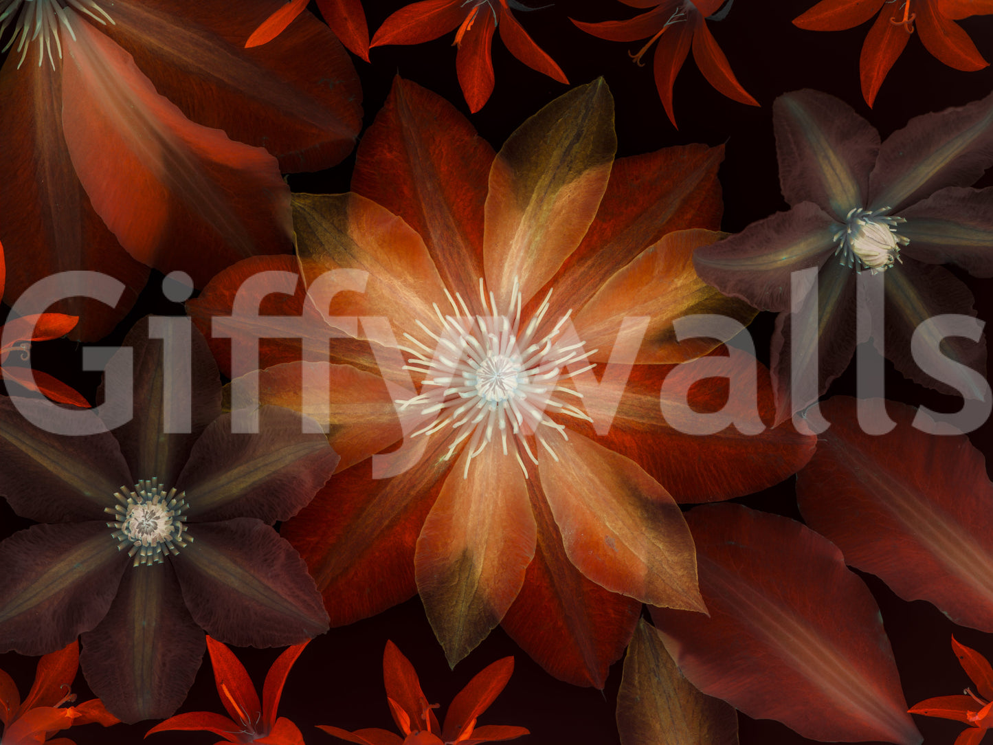 The image feels elegant and decorative.