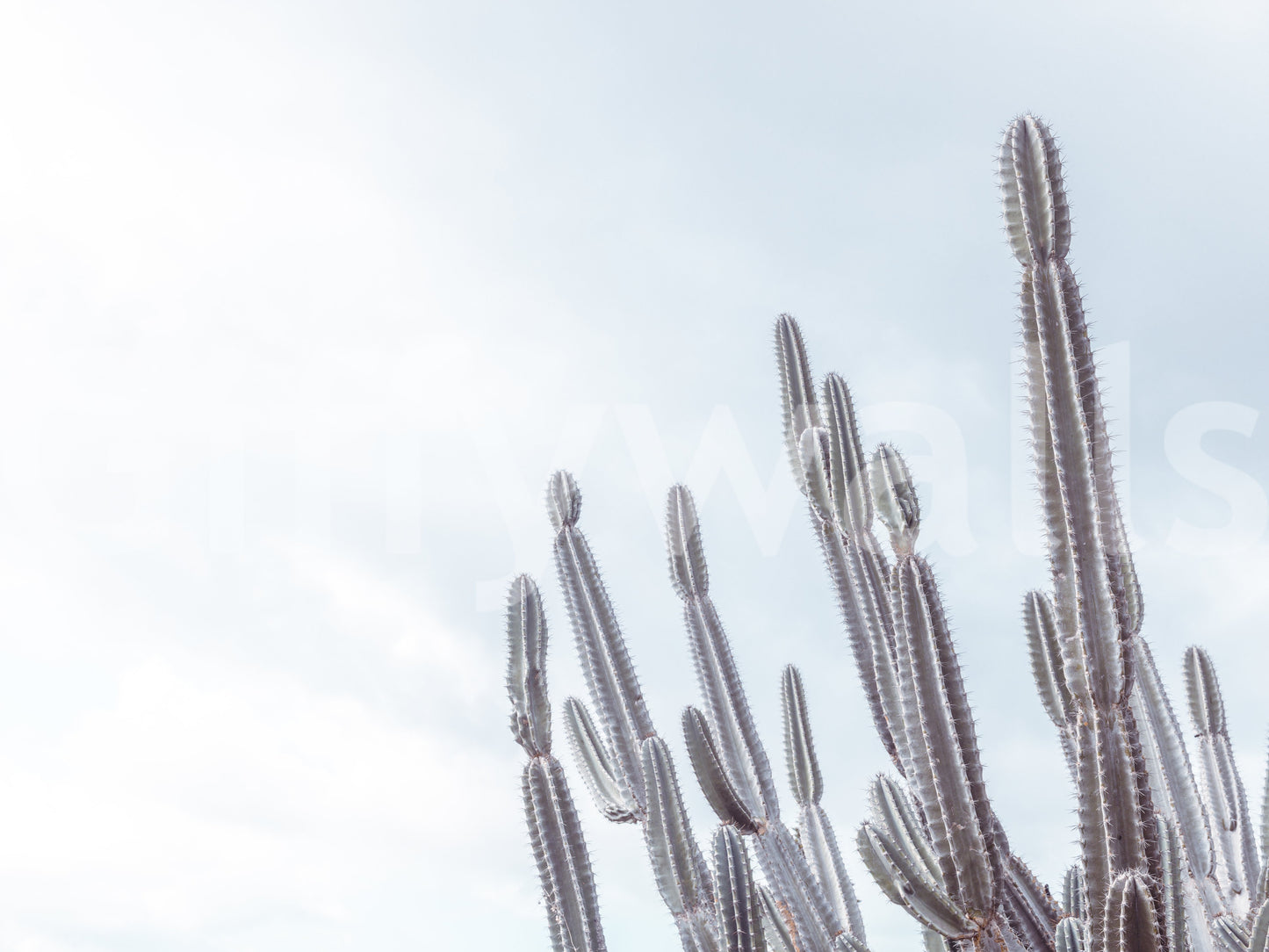 The image is suitable for a bedroom or a living space.