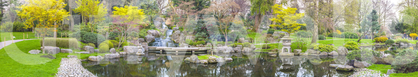 The image feels peaceful and restful, like a quiet day in a park.