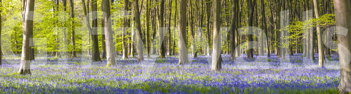 The image is suitable for a bedroom or a living space.