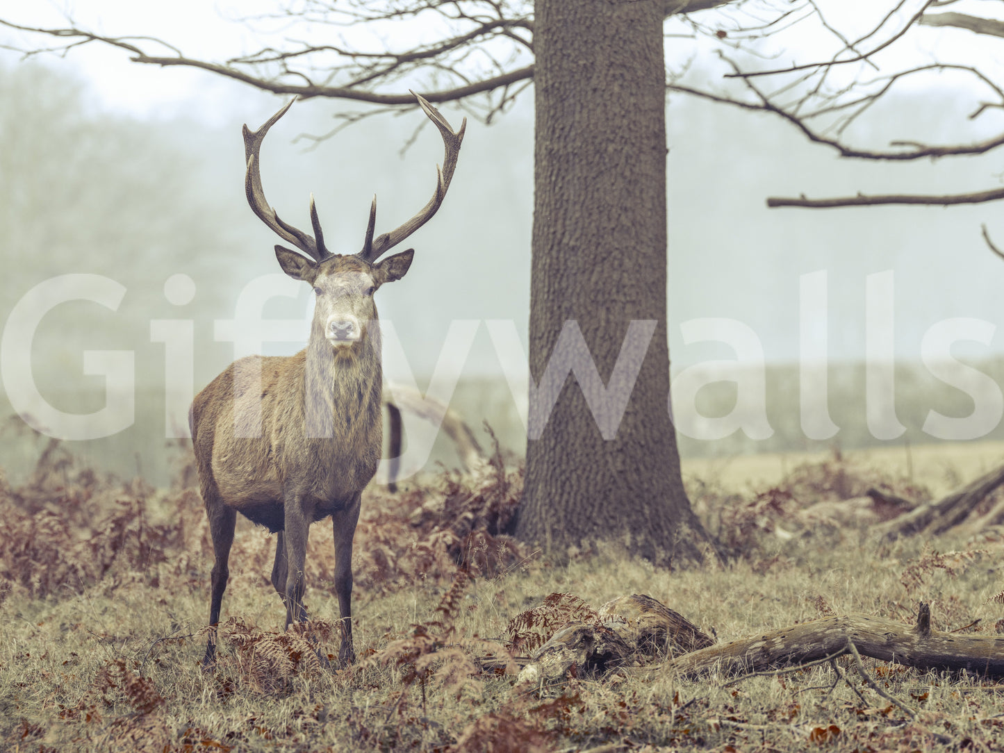 A detail of the warm tones in the animal and foliage.