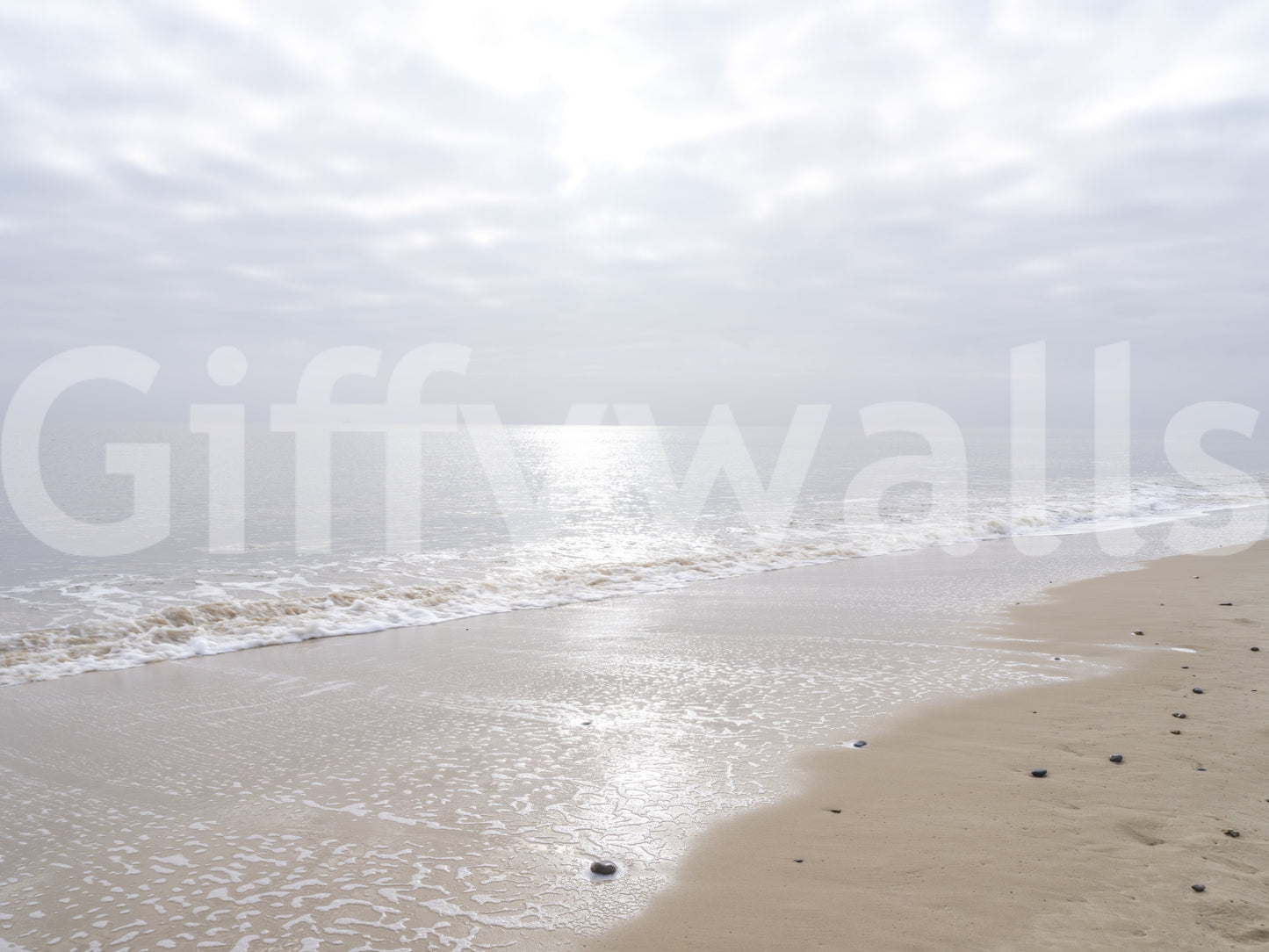 Gentle Waves Reflection Wall Mural