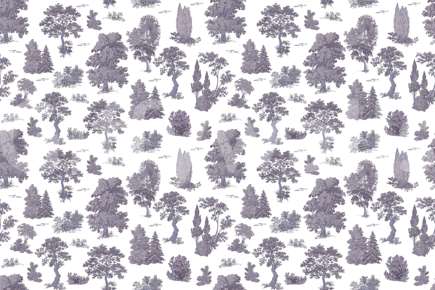 Enchanted grove, peaceful and calm