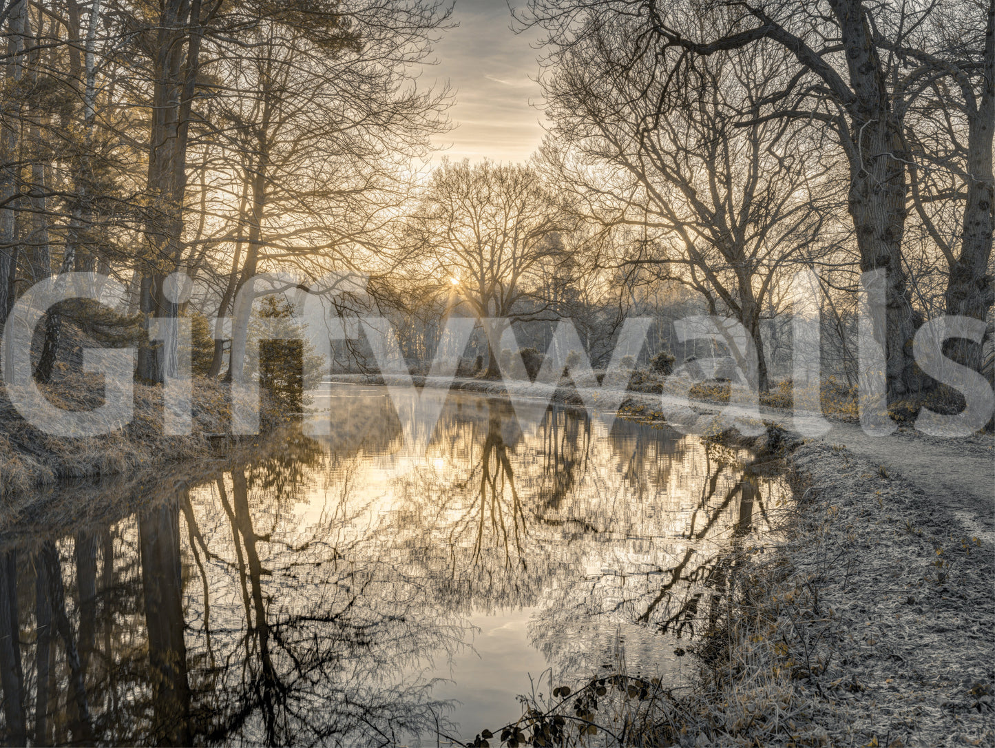 A detail of the warm tones in the scene.