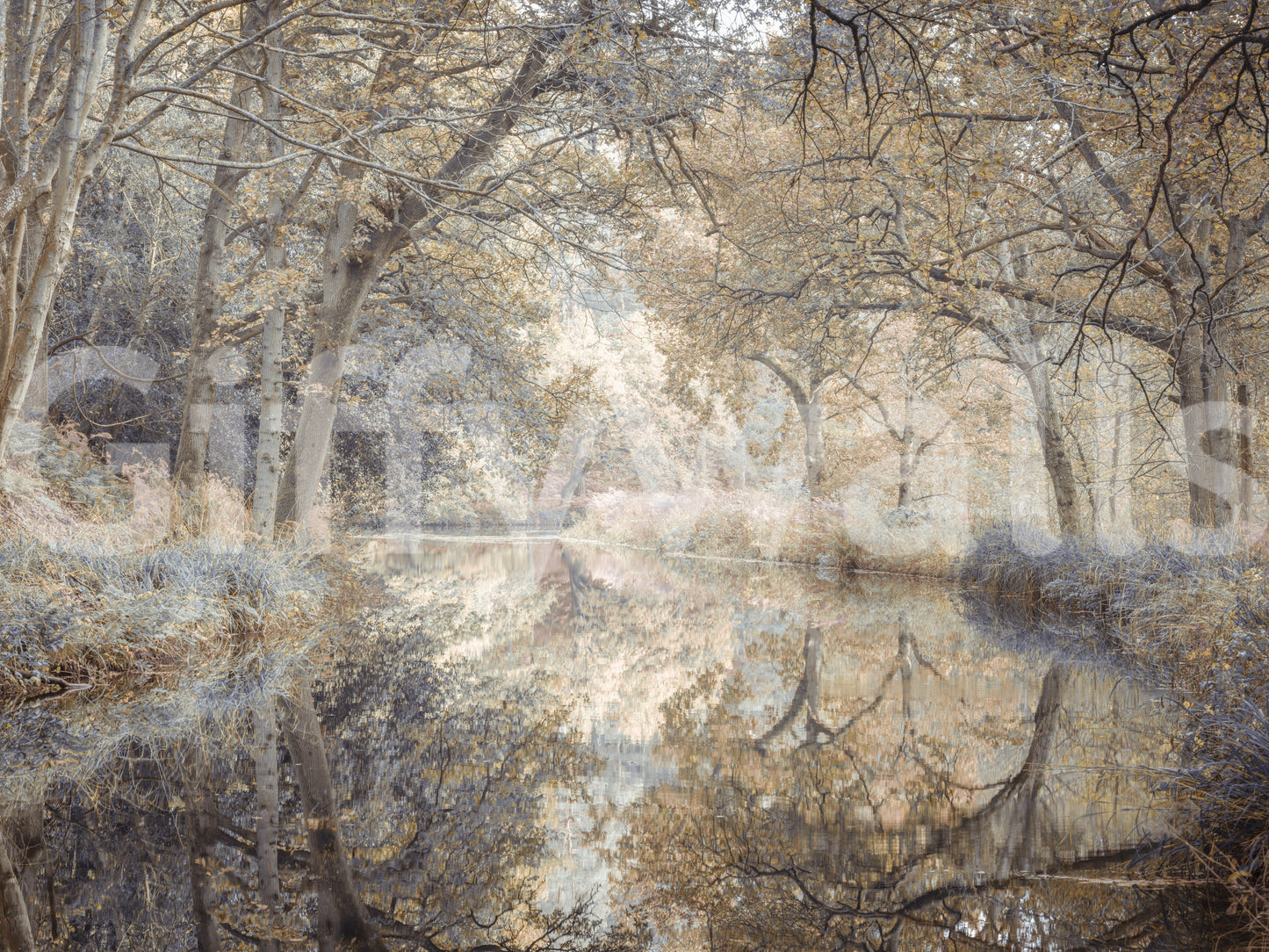 A high-quality peaceful wall mural of a clear river.