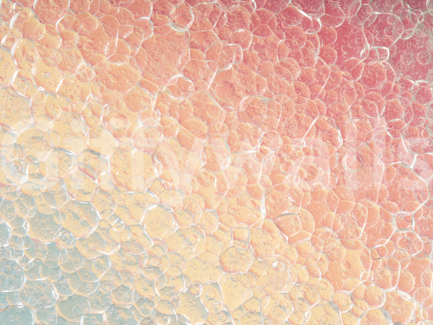 A high-quality minimalist wall mural for walls.