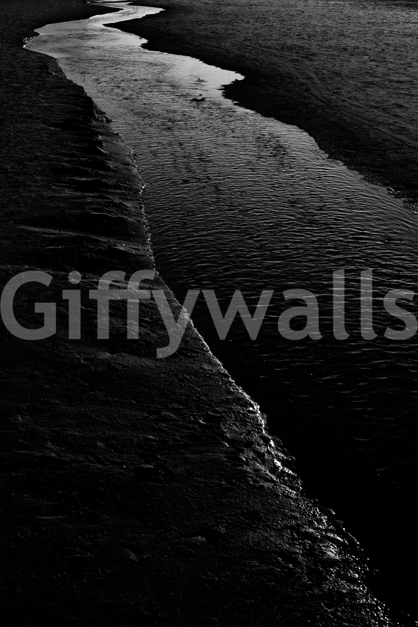 An artistic dark nature mural for home decor.