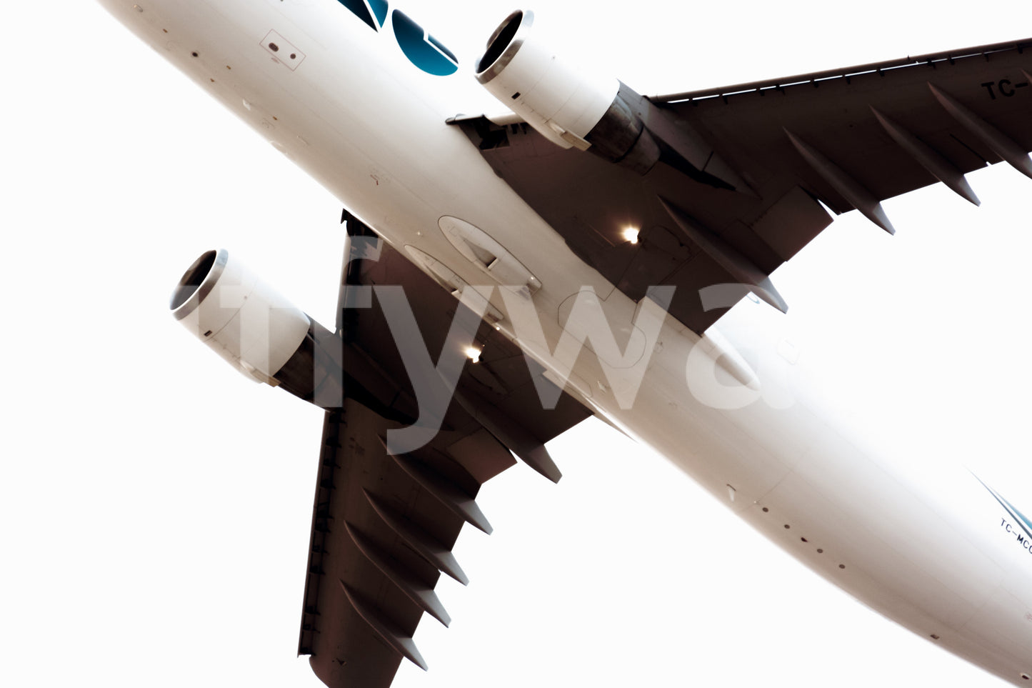 A high-quality minimalist wall mural for walls.