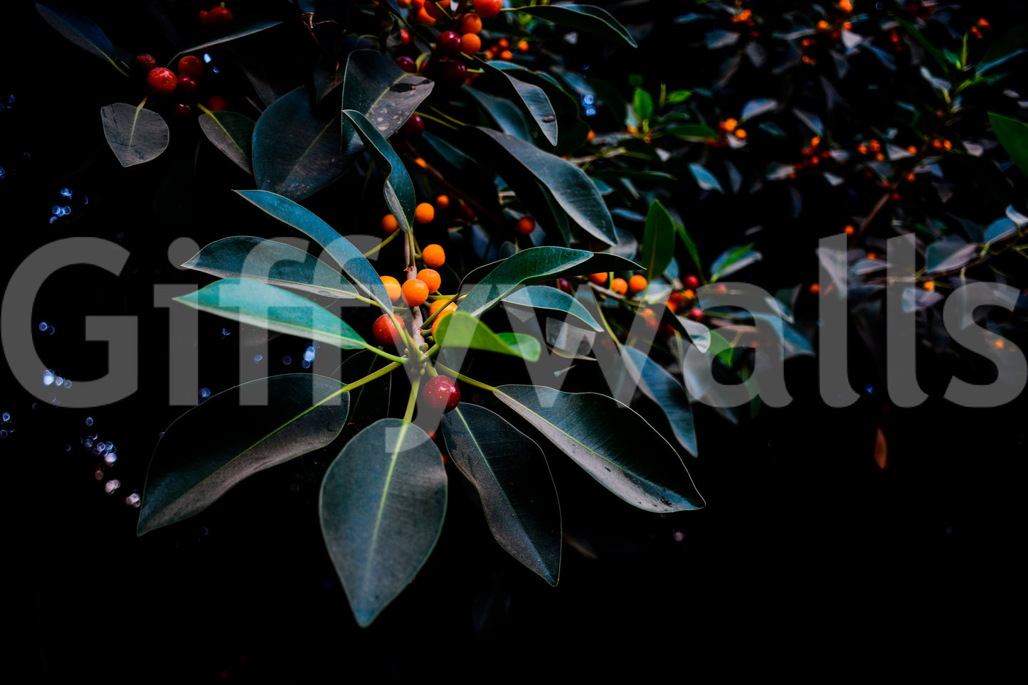 Orange, Green and Dark Wall Mural