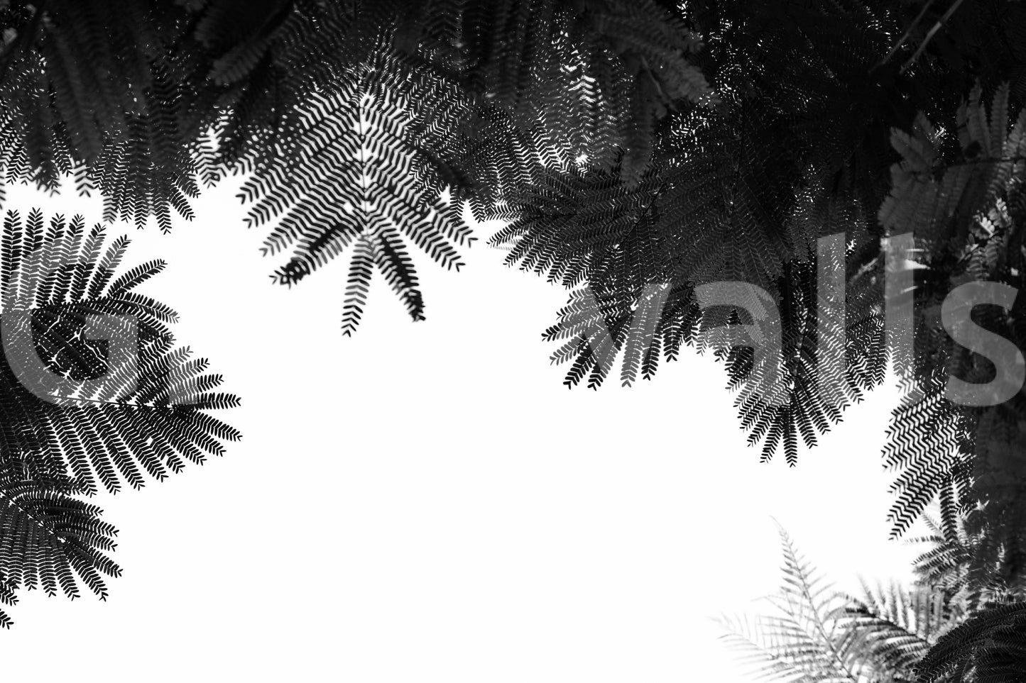 The Tree Top II Wall Mural