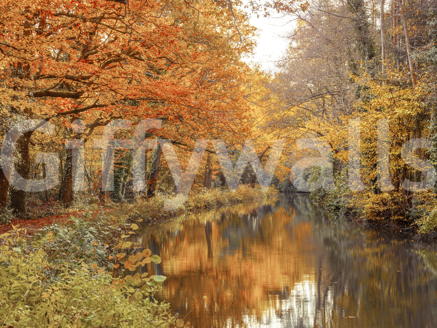Autumnal River Serenity Wall Mural