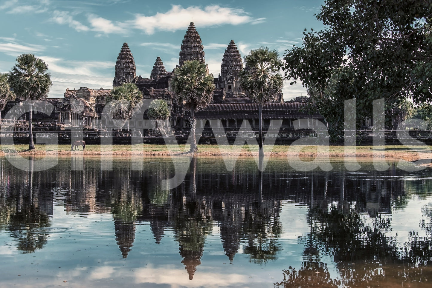 Angkor Wat Reflection Wall Mural