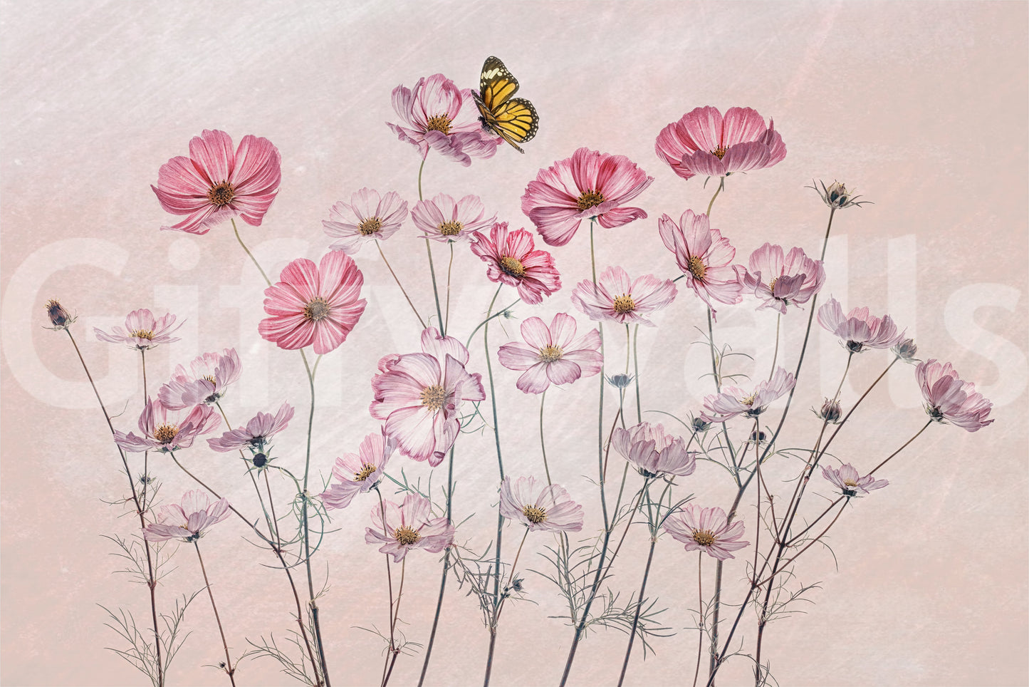 A tranquil abstract cosmos mural on the wallpaper.