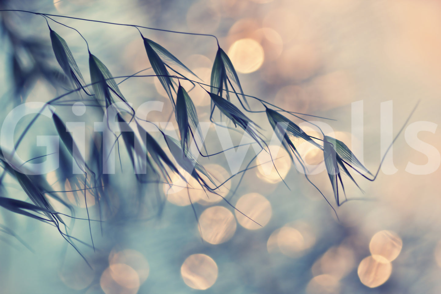 A high-quality serene flower wall mural for walls.