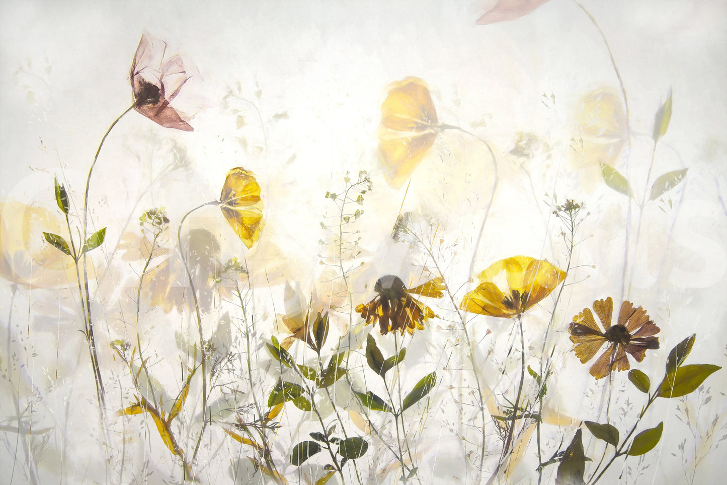 A high-quality serene flower wall mural for walls.