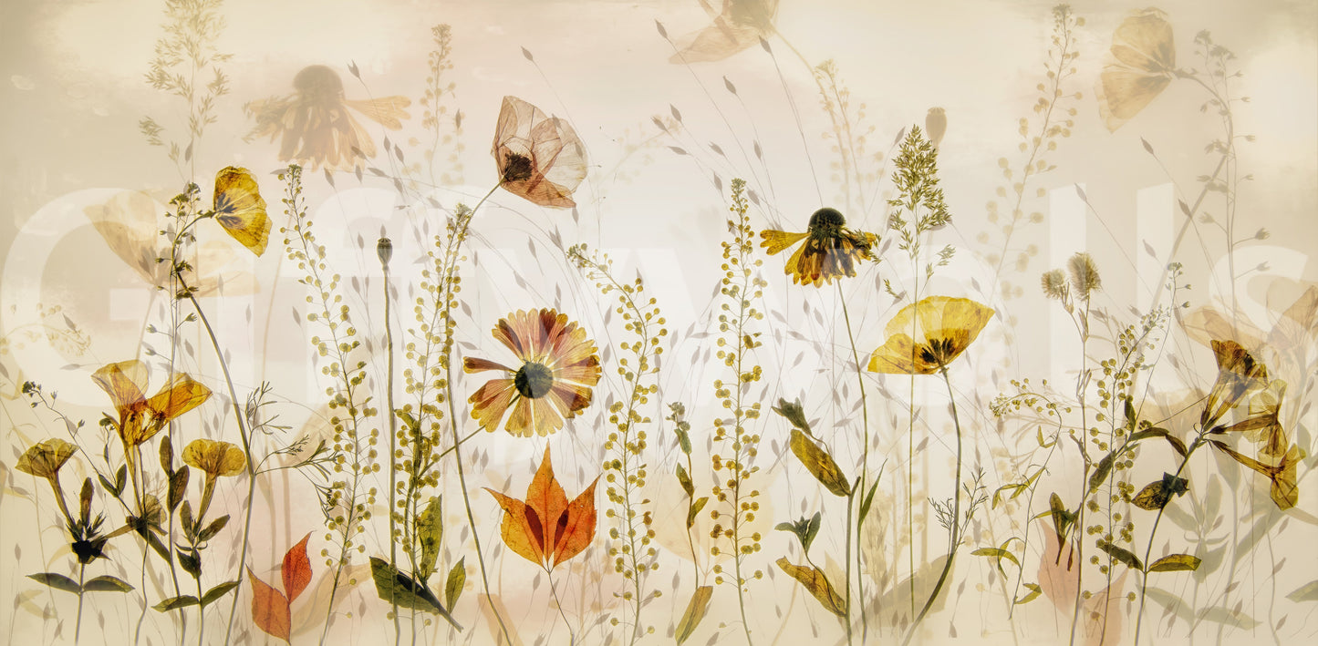 A high-quality serene flower wall mural for walls.