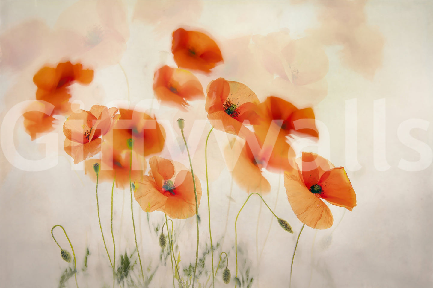 A high-quality serene flower wall mural for walls.