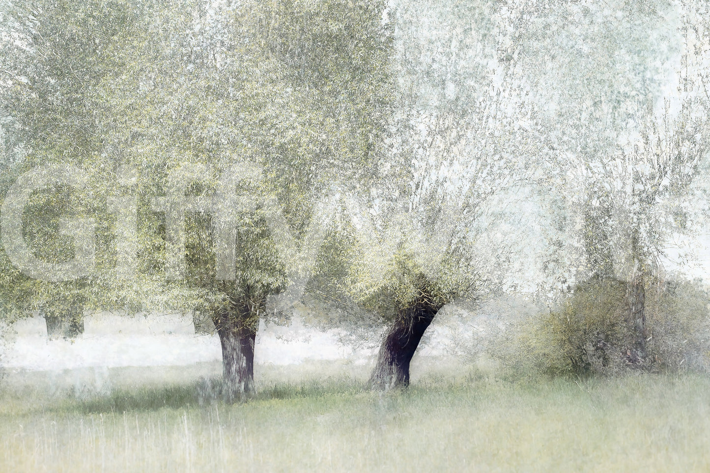 A high-quality abstract print wall mural for walls.