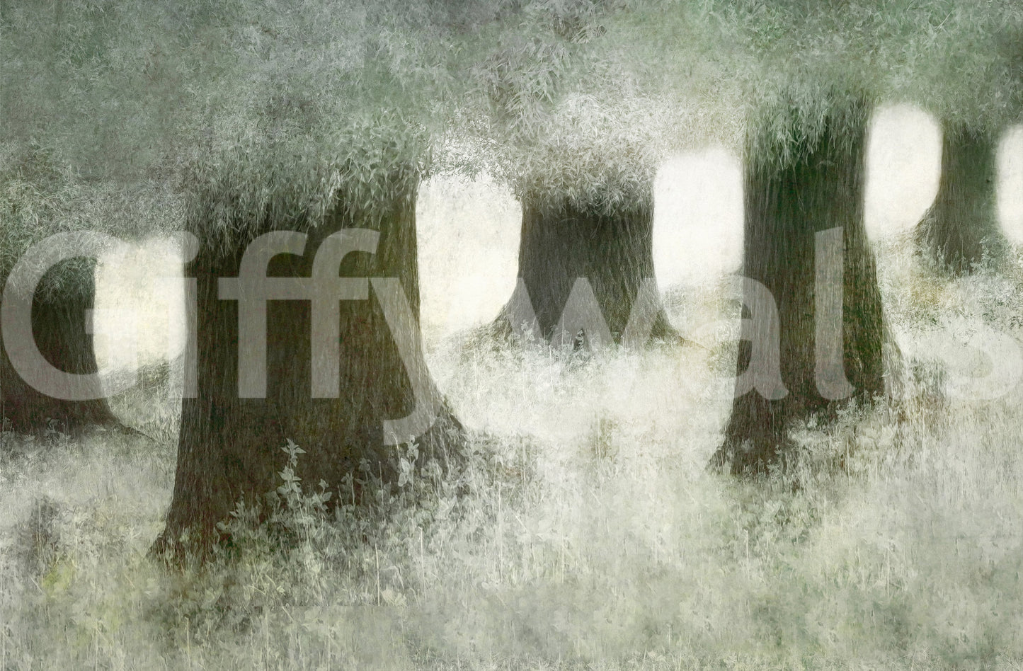 A high-quality minimalist tree wall mural for walls.