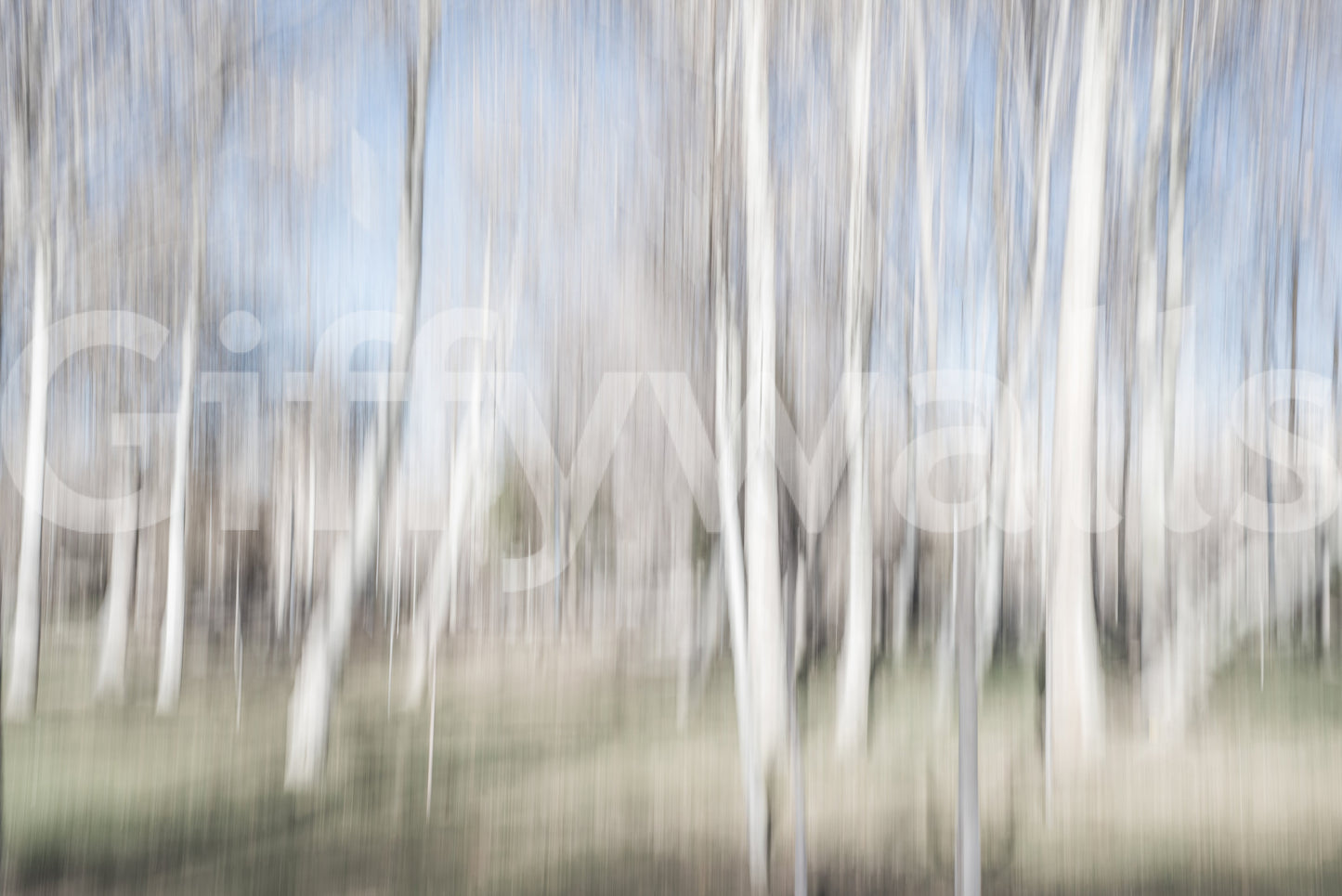 A high-quality minimalist tree wall mural for walls.