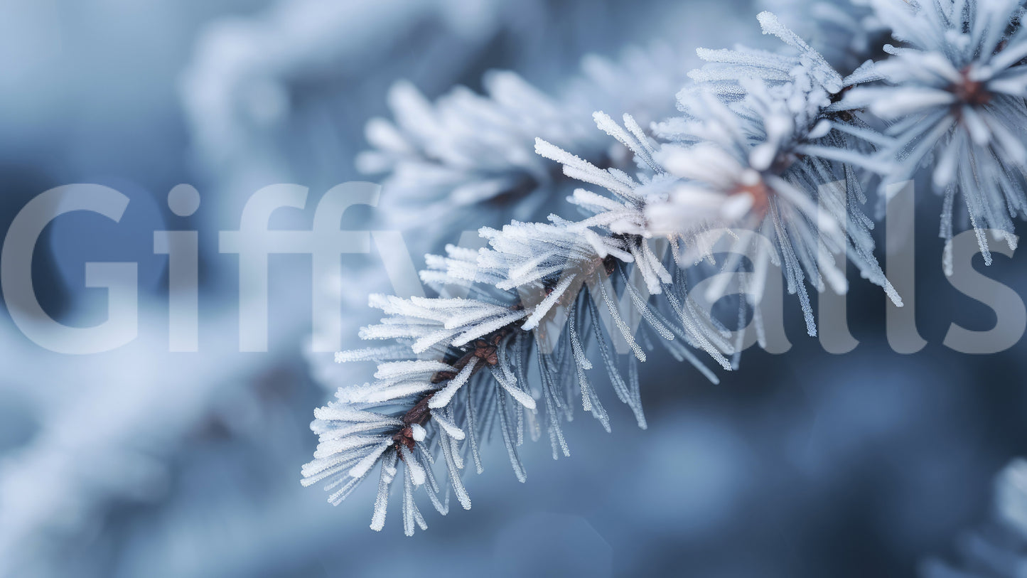 A high-quality abstract print wall mural for walls.