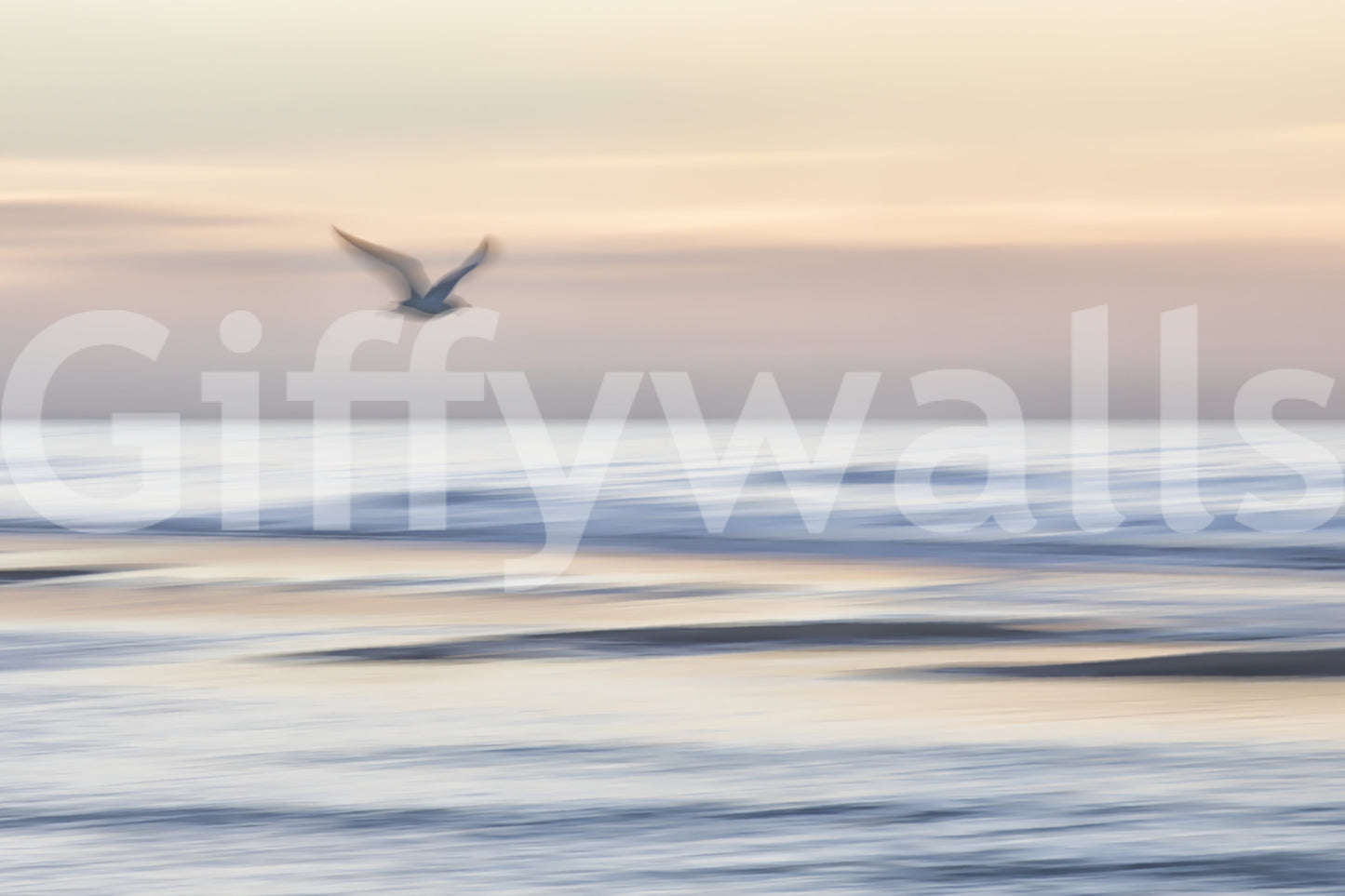 Seagull's Flight Wall Mural