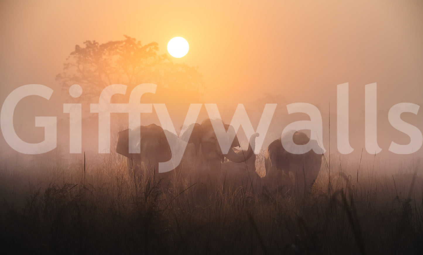 A high-quality minimalist wall mural for walls.