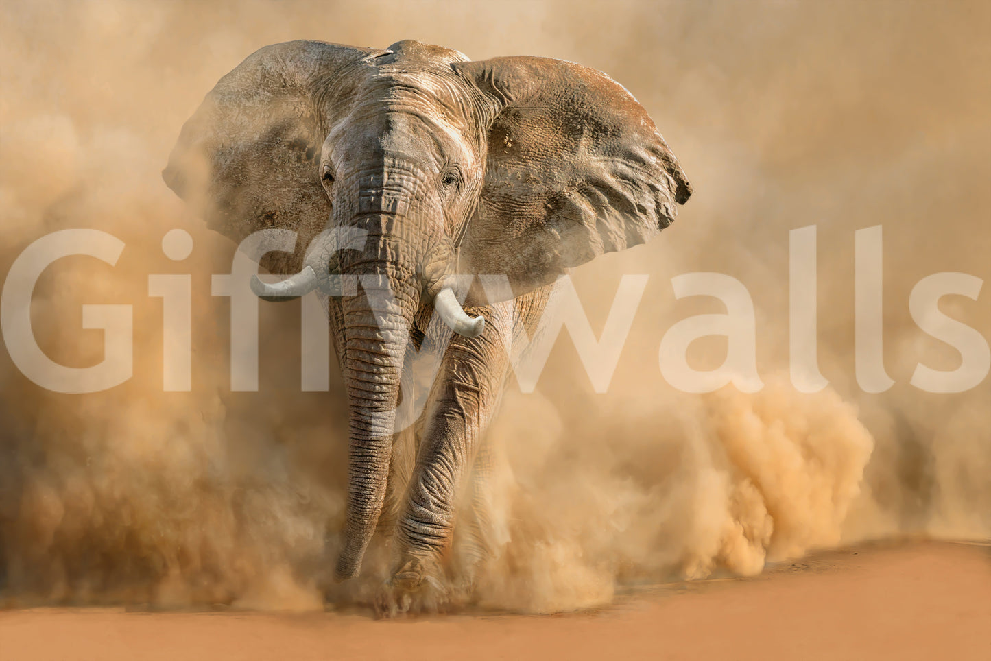 A high-quality minimalist wall mural for walls.