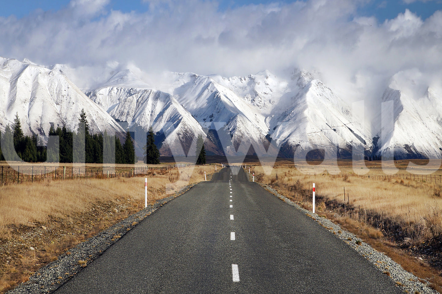 Winter's Road Wall Mural