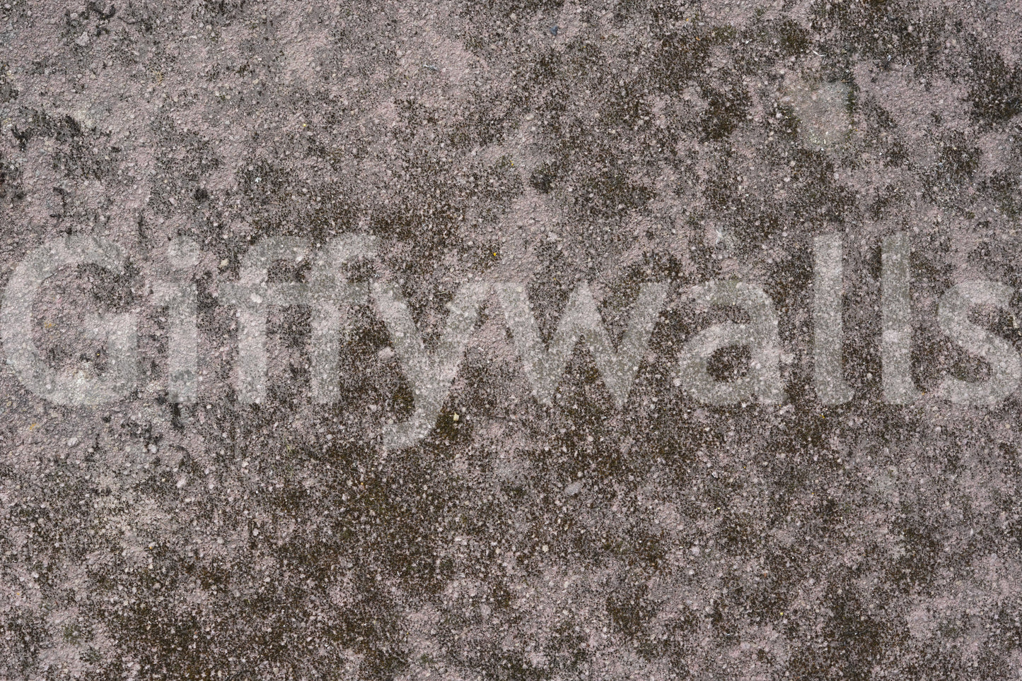 Accent wall featuring the moody, dramatic Grunge Finish wall mural.