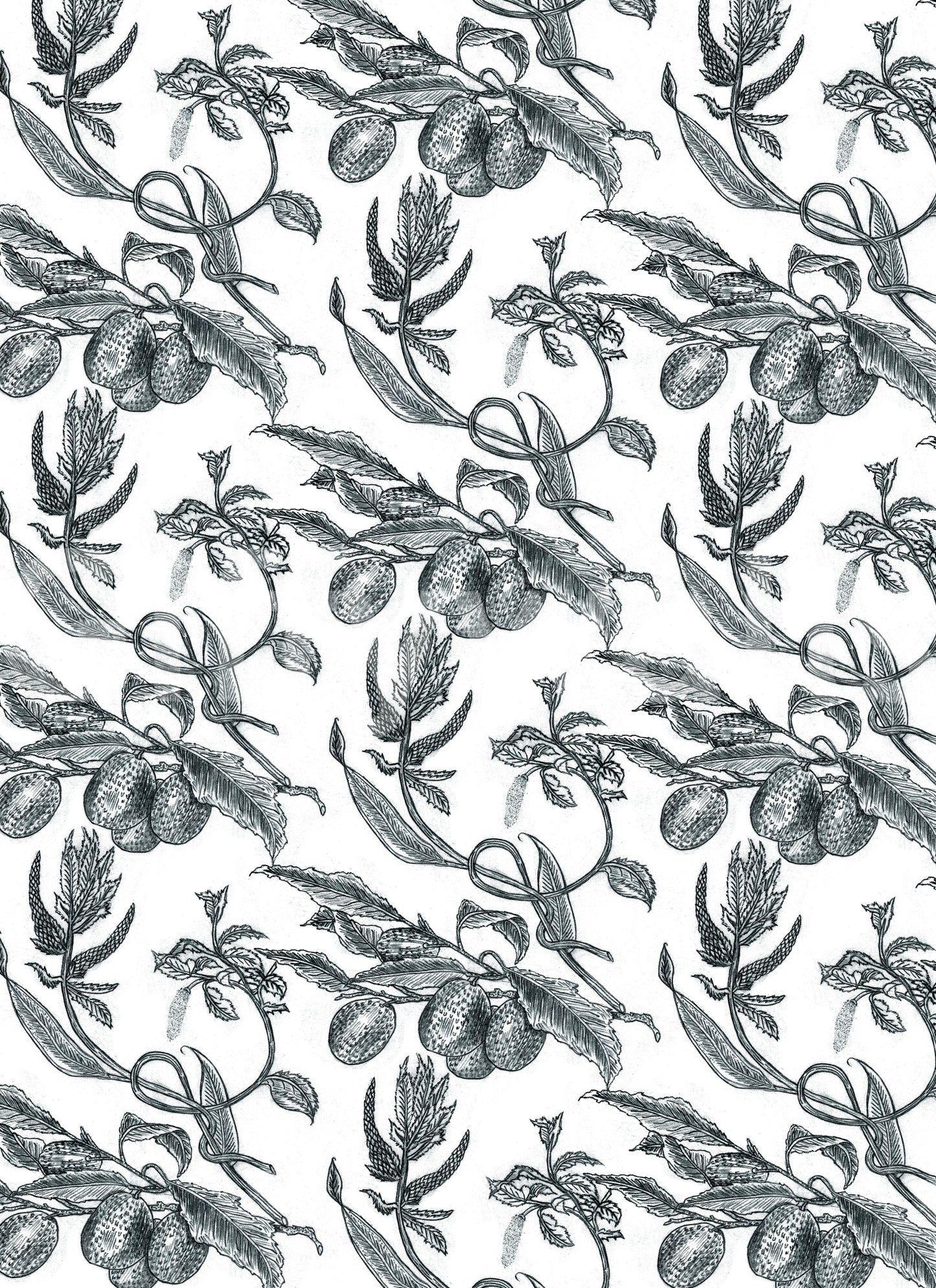Ornate passion fruit motif, Pé de Maracujá wall graphic paper.