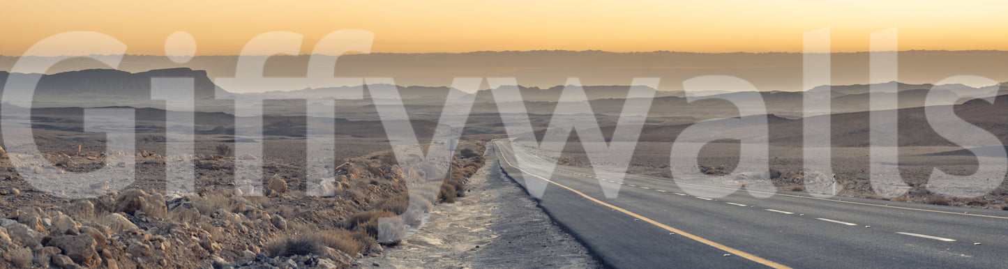 Remote open Traversing the Desert Wall Murall land aesthetic.