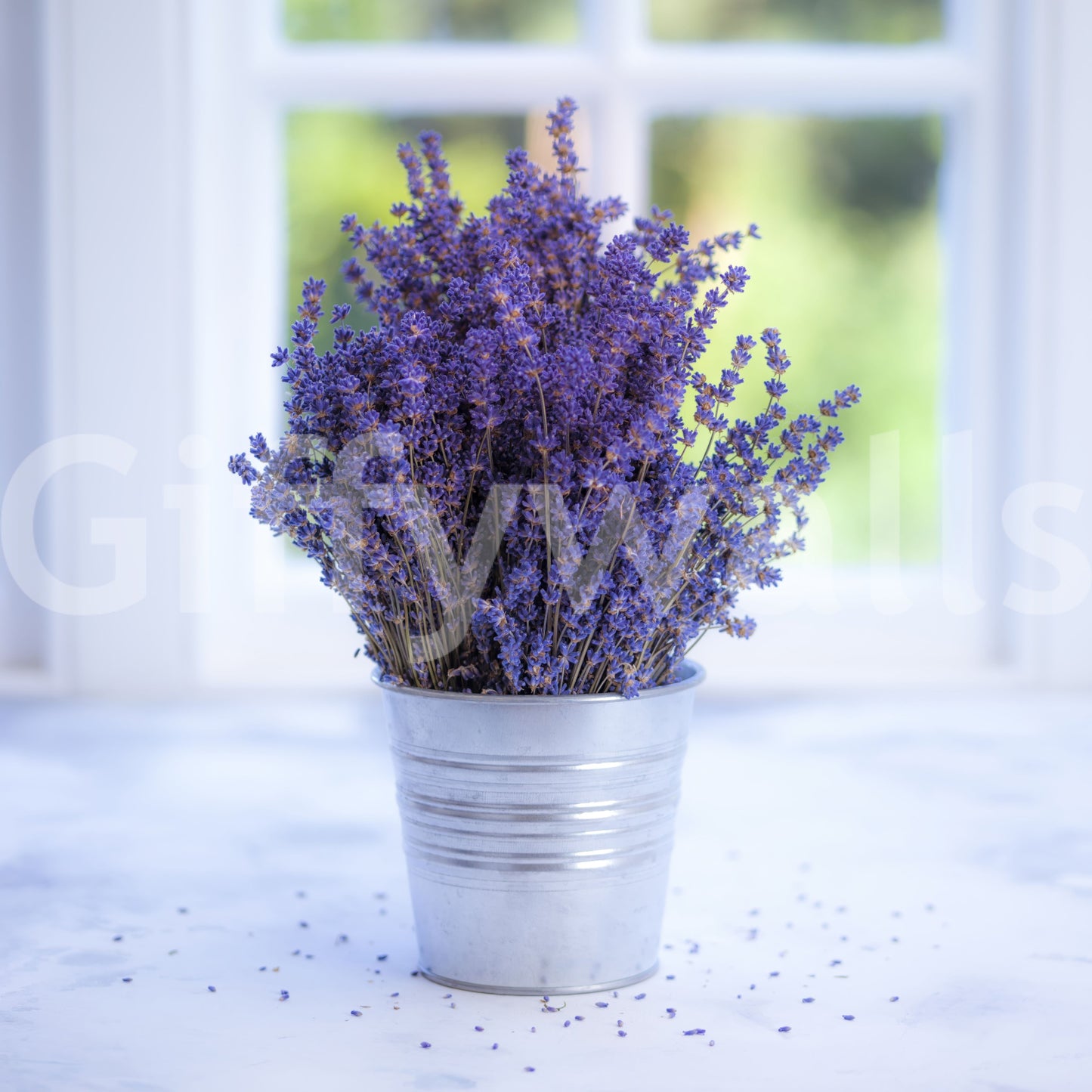 Natural Lavender in a Vase mural, herbal essence, decorative flower display.