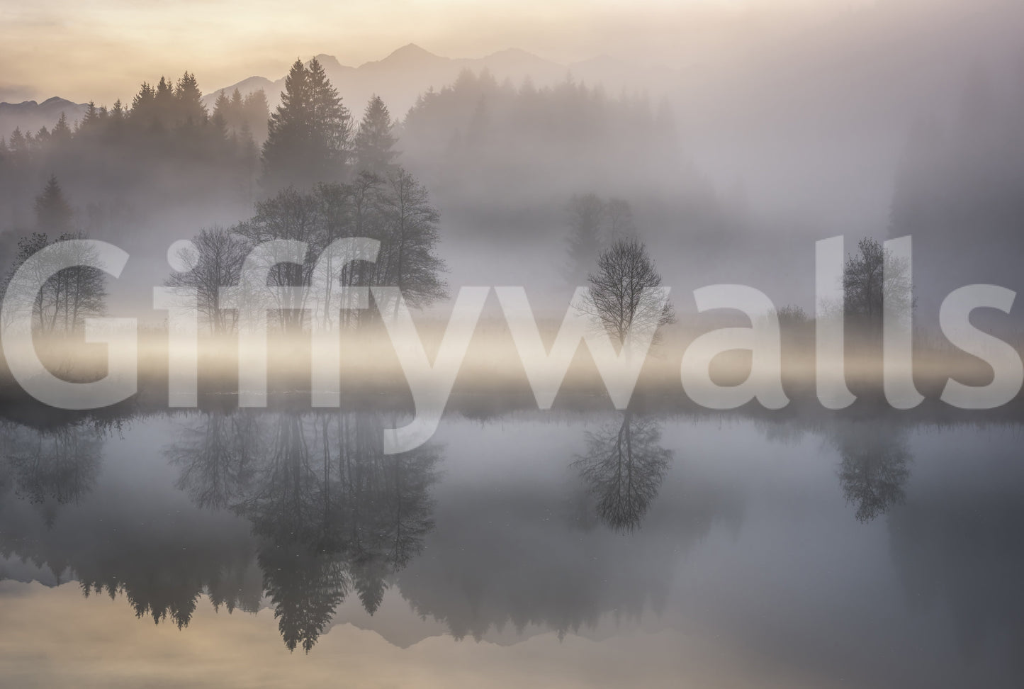 Romantic, vaporous forest edge mural of the majestic Woodland Dawn Reflection.