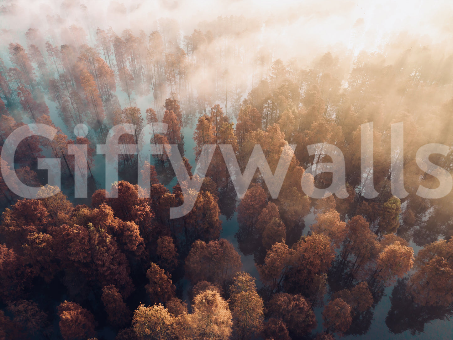 Dramatic fall scene mural, gorgeous Misty Autumn Forest wall covering.