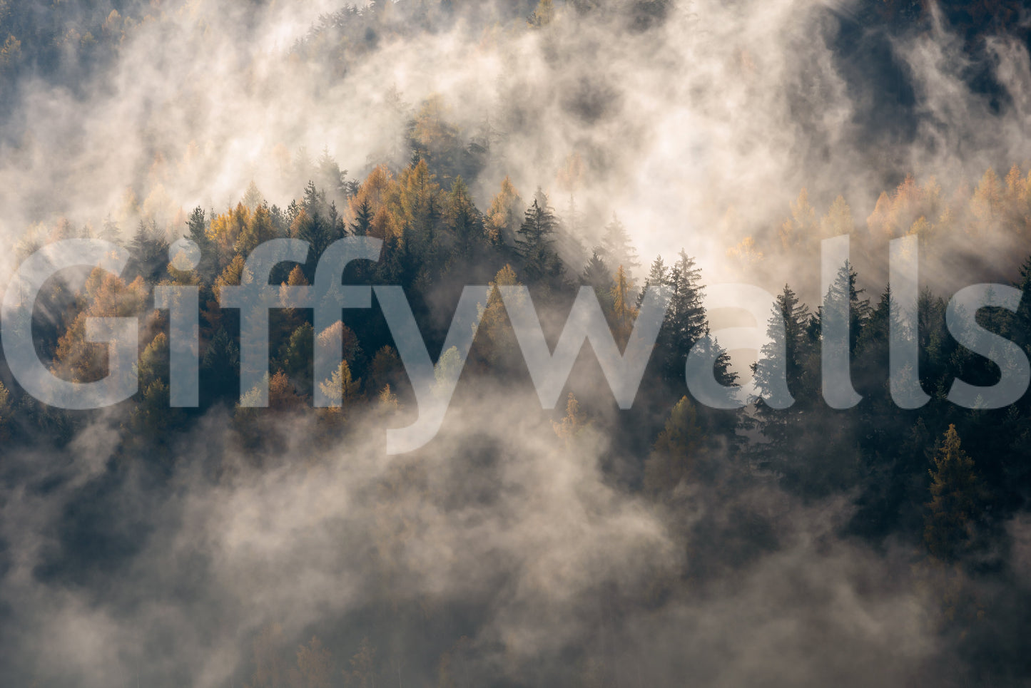 Deep forest Misty Woods Serenity wall decor quiet peacefulness