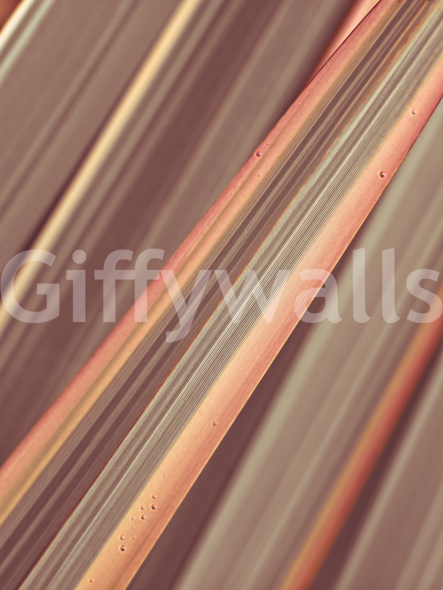 Terra Lines Wall Mural