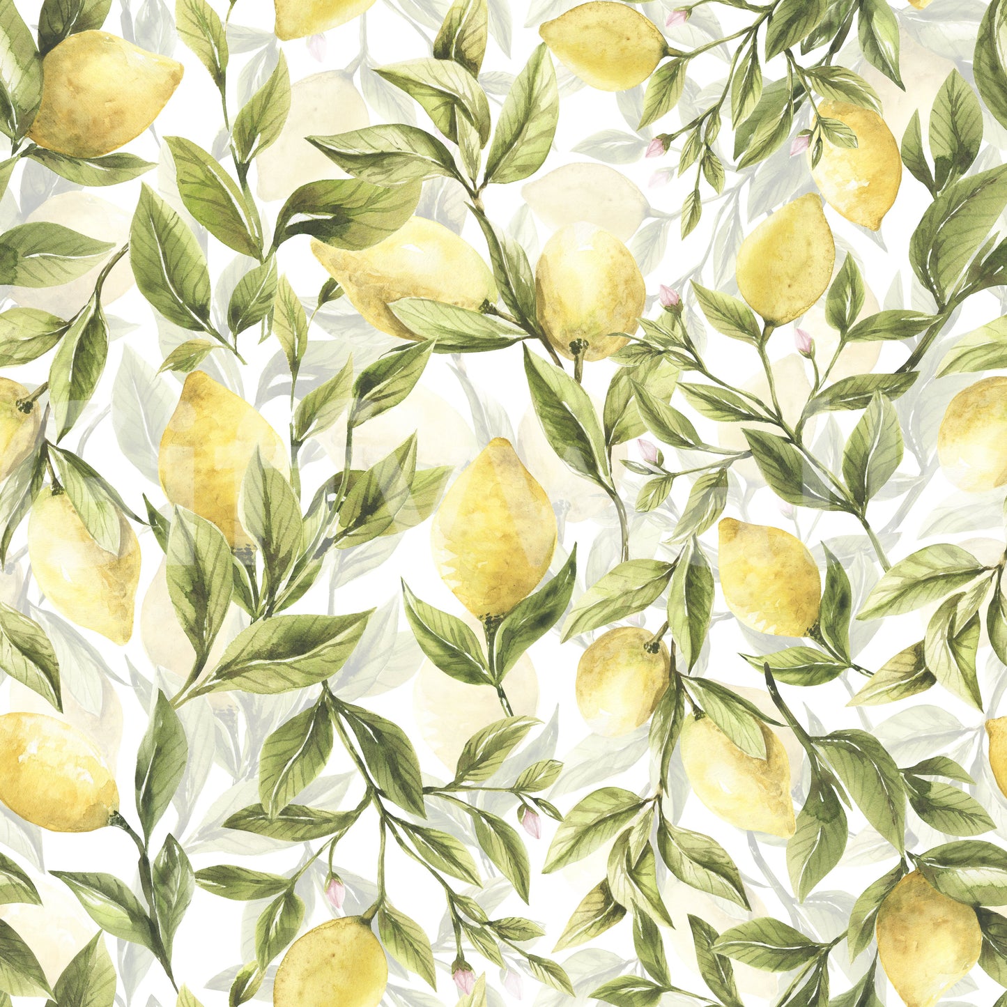 Lemon Grove Dreams Wallpaper