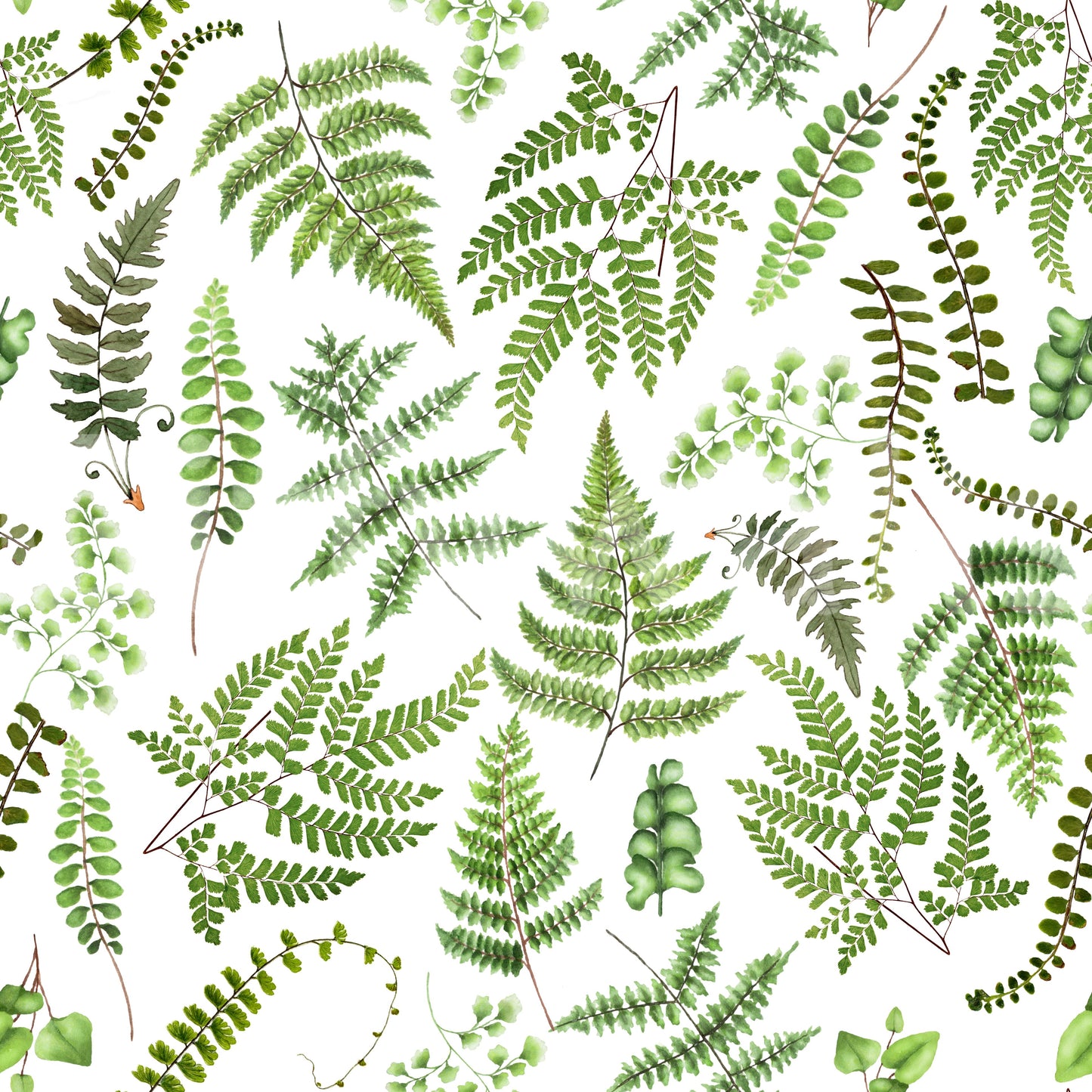 Watercolor Fern Canopy Wallpaper